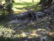 DSCF4363.JPG
