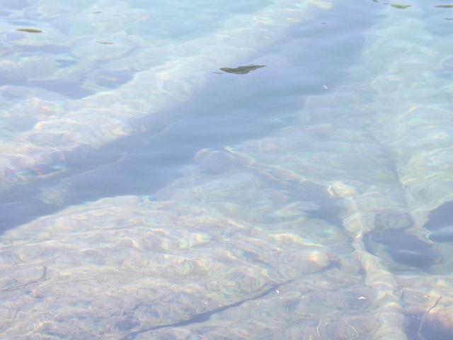 DSCF4389.JPG