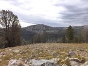 DSCF4431.JPG