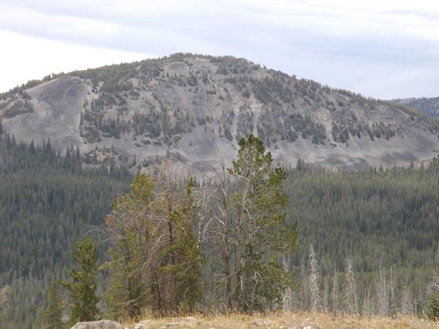 DSCF4432.JPG
