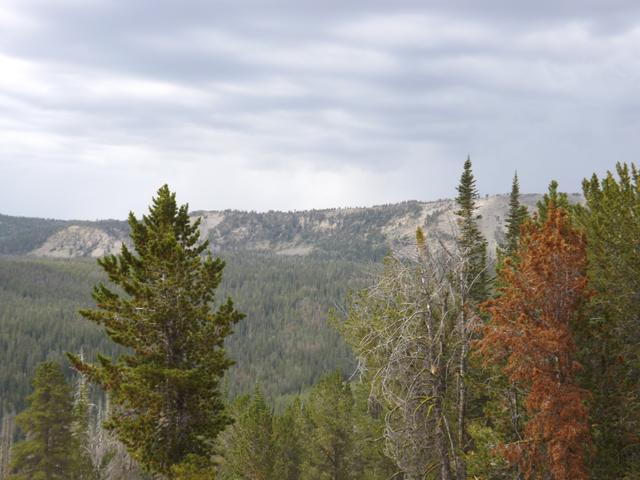 DSCF4433.JPG