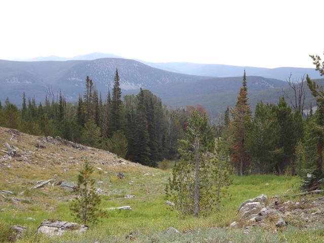 DSCF4439.JPG