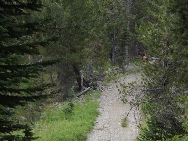 DSCF4441.JPG
