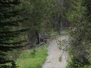 DSCF4441.JPG