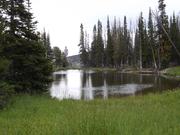 DSCF4442.JPG