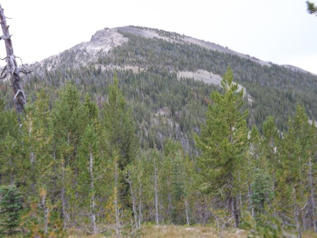 DSCF4449.JPG