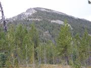 DSCF4449.JPG