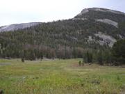 DSCF4450.JPG