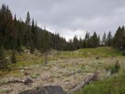 DSCF4453.JPG