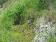 DSCF4477.JPG