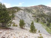 DSCF4506.JPG