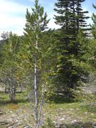 DSCF4510.JPG