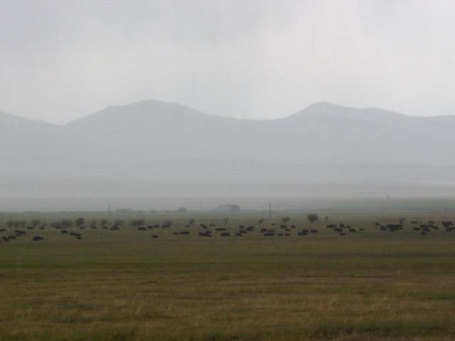 DSCF4530.JPG