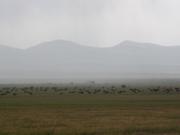 DSCF4530.JPG