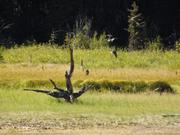 DSCF4584.JPG