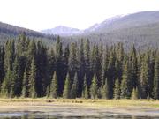 DSCF4586.JPG