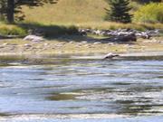 DSCF4587.JPG