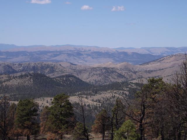 DSCF4642.JPG