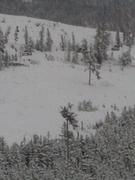 IMG_20140105_103410_174