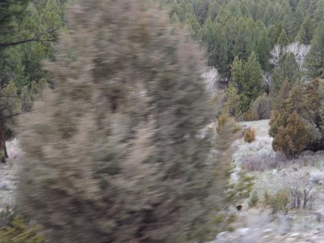 DSCF6351.JPG
