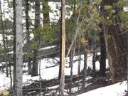 DSCF6358.JPG