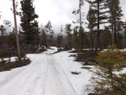 DSCF6388.JPG