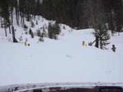 DSCF6161.JPG