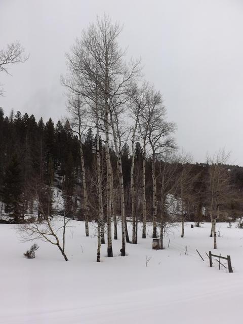 DSCF6168.JPG