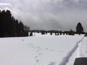 DSCF6242.JPG