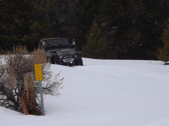 DSCF6183.JPG