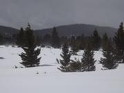 DSCF6244.JPG