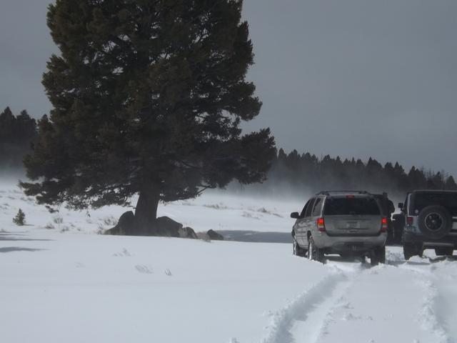 DSCF6245.JPG