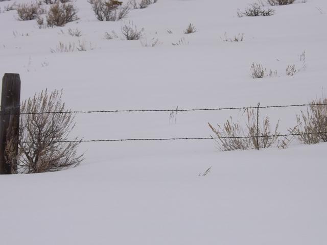 DSCF6185.JPG