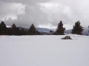 DSCF6249.JPG