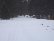 DSCF6253.JPG