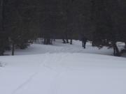 DSCF6255.JPG