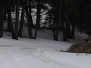 DSCF6205.JPG