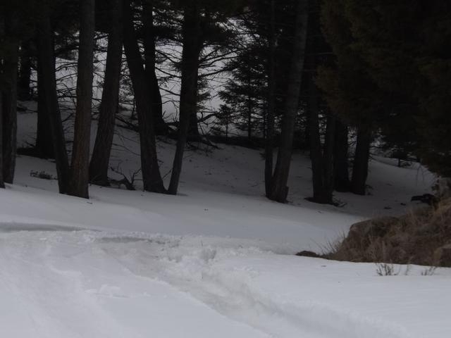 DSCF6205.JPG