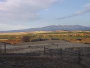 DSCF8208.JPG