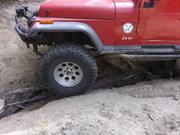 DSCF8253.JPG