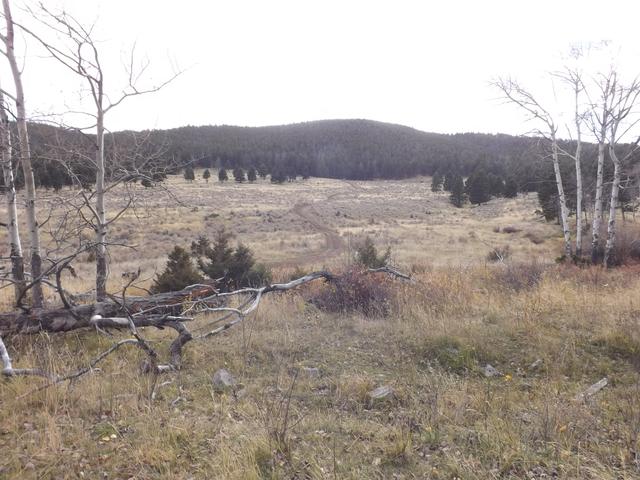 DSCF8291.JPG
