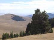 DSCF5030.JPG