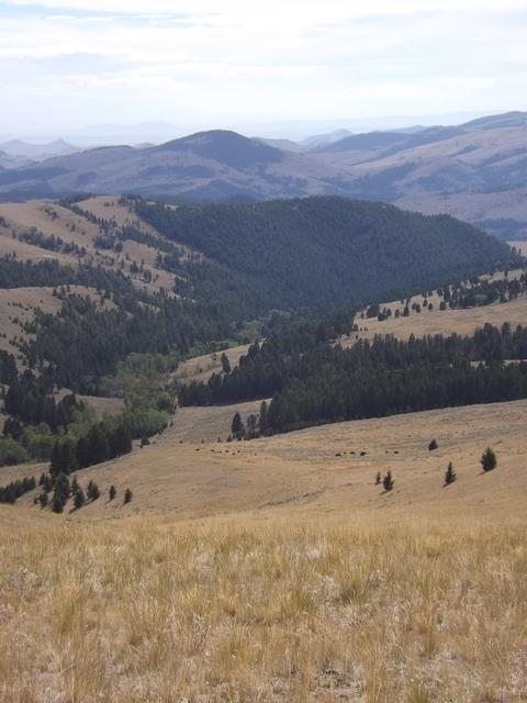DSCF5033.JPG
