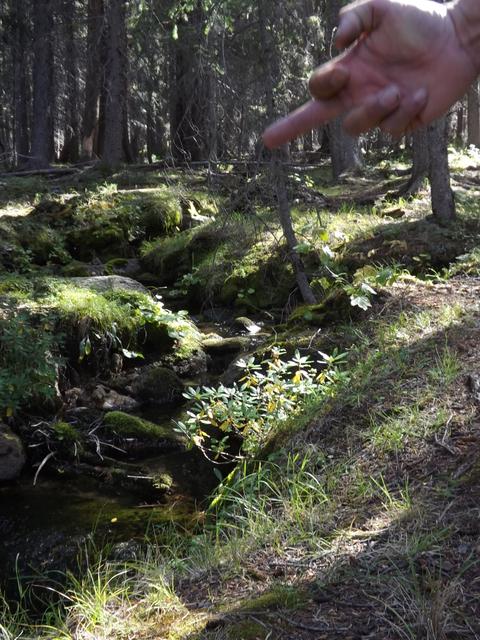 DSCF5078.JPG