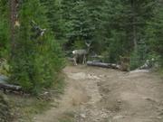 DSCF5135.JPG