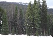 DSCF5193.JPG