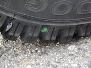 DSCF5203.JPG
