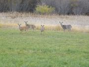 DSCF5207.JPG