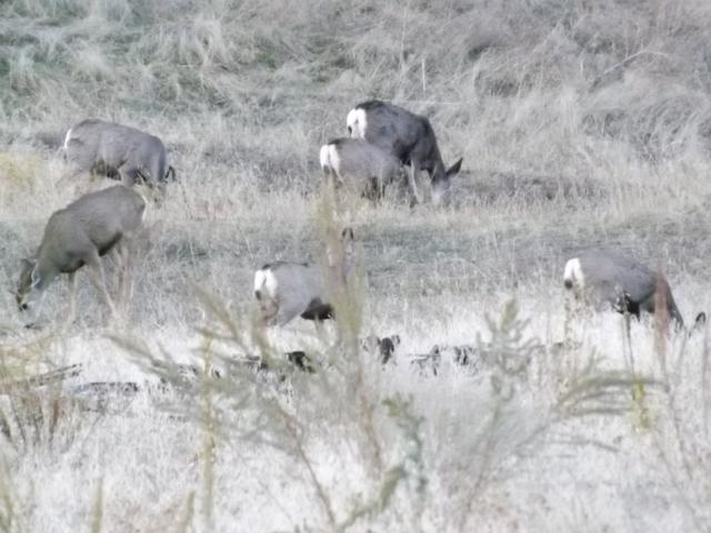 DSCF5211.JPG