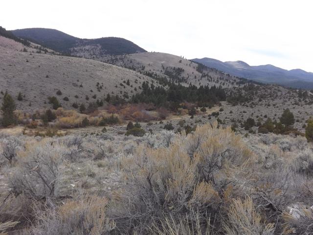 DSCF5220.JPG